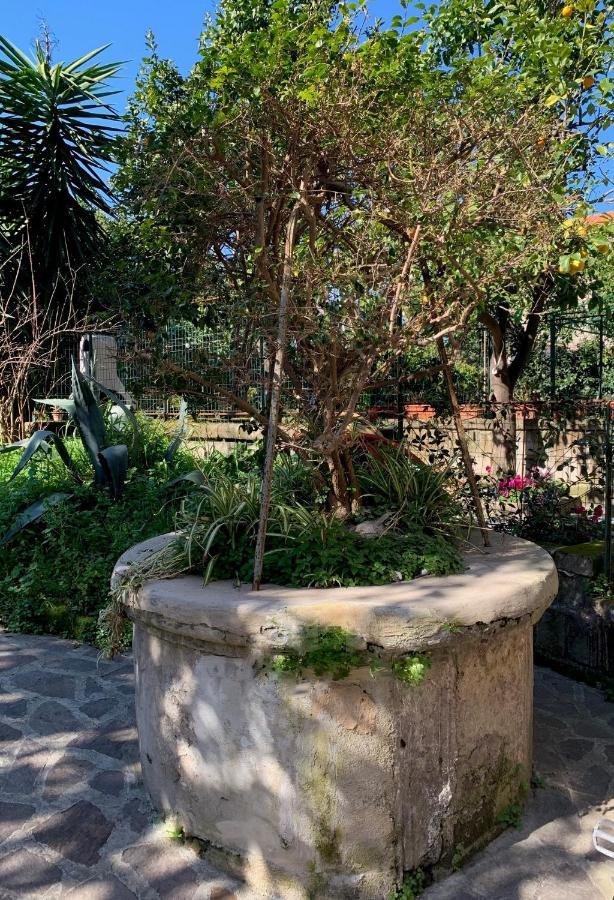 Itaca B&B Piano di Sorrento Kültér fotó