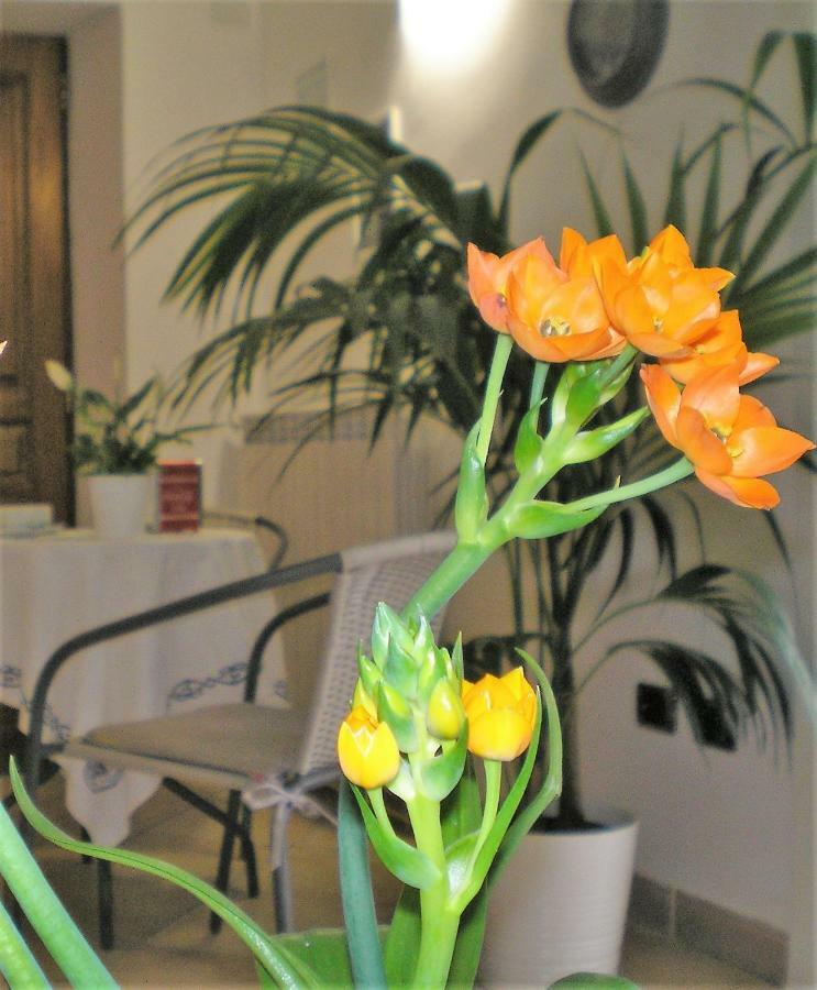 Itaca B&B Piano di Sorrento Kültér fotó