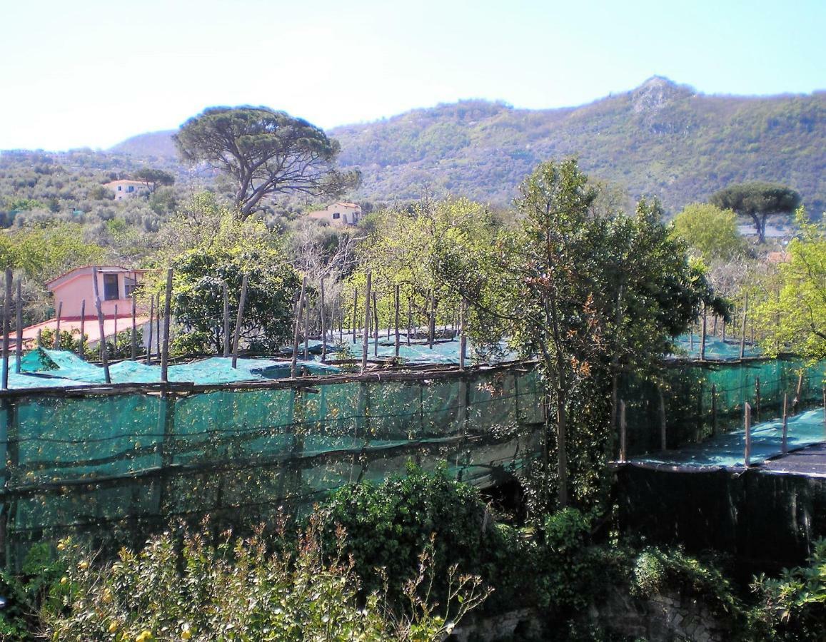 Itaca B&B Piano di Sorrento Kültér fotó