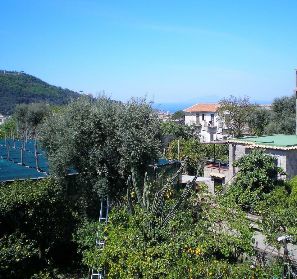 Itaca B&B Piano di Sorrento Kültér fotó