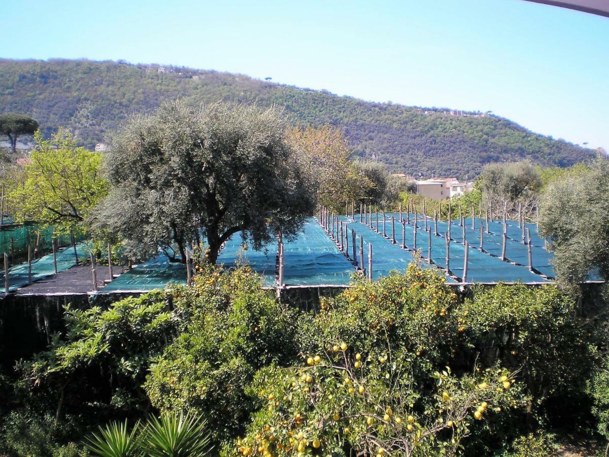 Itaca B&B Piano di Sorrento Kültér fotó